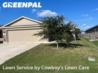 Yard Cutting nearby San Antonio, TX, 