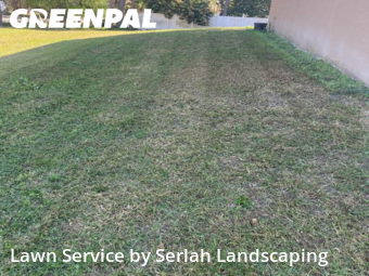 Lawn Mowing nearby Clermont, FL, 