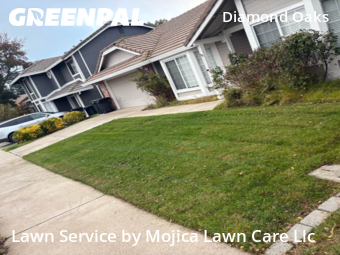 Commercial Landscaping In Roseville,95678,Landscaping Cleanup by Mojica Lawn Care Llc, work completed in Nov , 2025