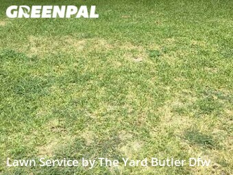Lawn Mowing Service nearby Fort Worth, TX, 