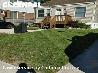 Grass Cut nearby Birmingham, MI, 