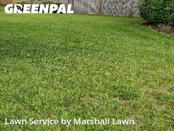 Grass Cut nearby Chesapeake, VA, 