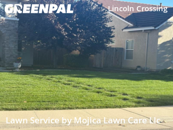 Backyard Mowing in Lincoln, 95648, Garden Trimming by Mojica Lawn Care Llc, work completed in Nov , 2025