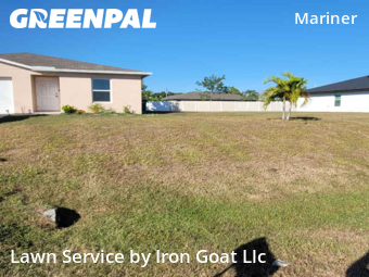 Yard Cutting nearby Cape Coral, FL, 