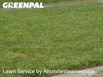Grass Cut nearby Fort Lauderdale, FL, 