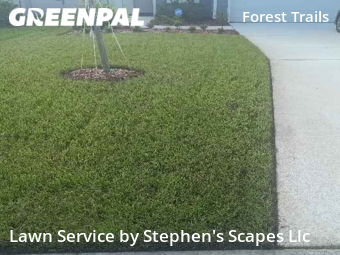 Grass Cut nearby Jacksonville, FL, 