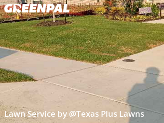 Grass Cut nearby Heath, TX, 