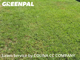 Lawn Maintenance nearby Cedar Hill, TX, 