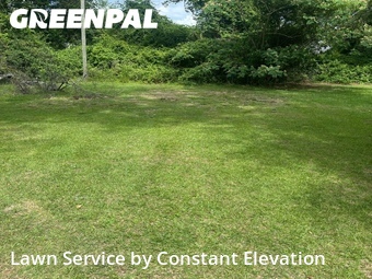 Lawn Mow nearby La Grange, NC, 