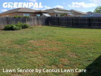 Grass Cutting nearby Converse, TX, 