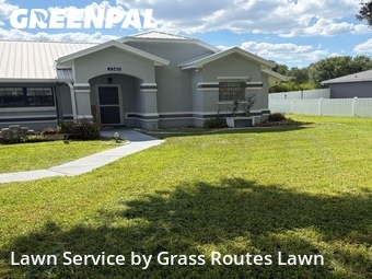 Lawn Mow nearby Ocala, FL, 