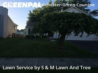 Lawn Cut nearby Galloway, OH, 
