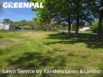 Grass Cutting nearby Ithaca, NY, 