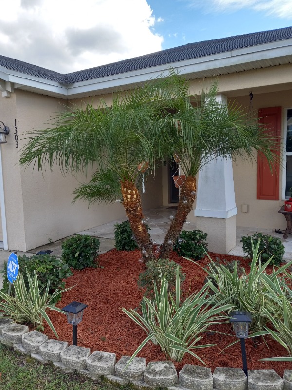 Affordable Home Pros Lawn Care Services in Venice, FL