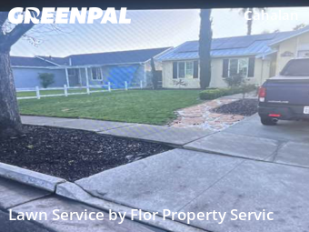 grass-care-professionals-in-Palo Alto-CA