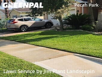 Grass Cut nearby Jacksonville, FL, 
