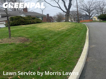 Grass Cut nearby Toledo, OH, 