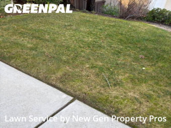 Lawn mowed in Danville, 94506