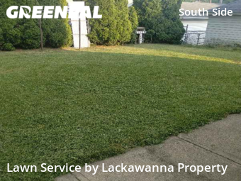 Lawn Mow nearby Scranton, PA, 