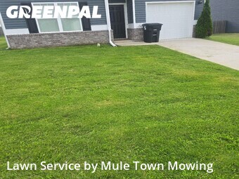 Grass Cut nearby Columbia, TN, 