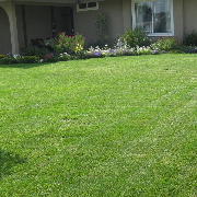 affordable-lawn-services-in-Franklin-WI