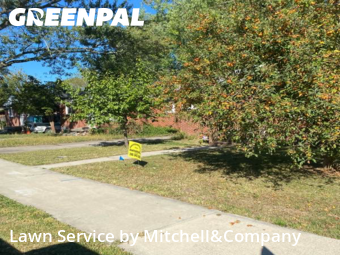 Mowing Services in Inkster, 48141, Backyard Mowing by Mitchell&Company, work completed in Nov , 2025