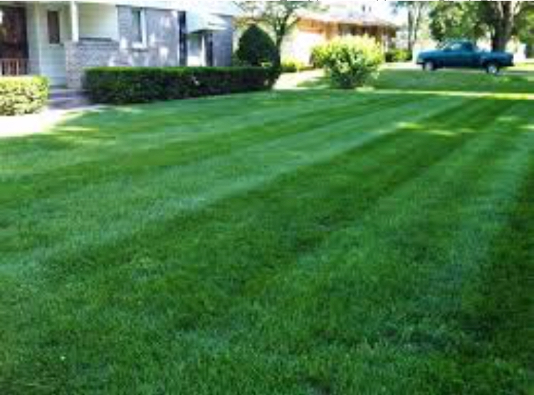 the-yard-cutting-businesses-in-Evansville-IN