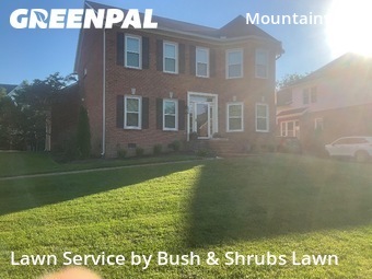 Lawn Mowin Franklin,37064,Lawn Mowing by Bush & Shrubs Lawn, work completed in Nov , 2025