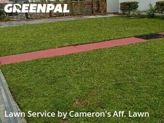 Lawn Mow nearby Opa Locka, FL, 