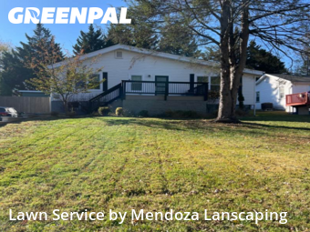 Grass Services in Silver Spring, 20906, Lawn Maintenance by Mendoza Lanscaping, work completed in Nov , 2025