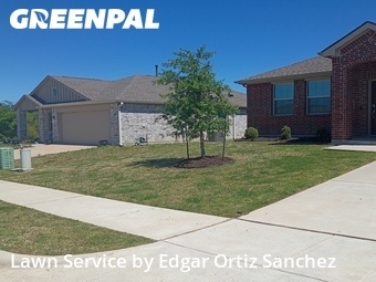 Lawn Mowing nearby Princeton, TX, 