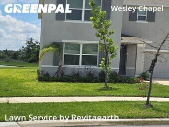 Lawn Mow nearby Wesley Chapel, FL, 