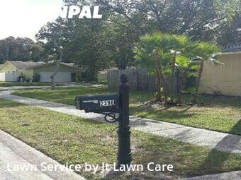 Lawn Care Service nearby Palm Harbor, FL, 