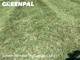 Lawn Mowing nearby Murfreesboro, TN, 