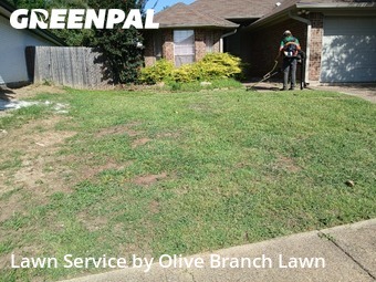 Yard Mowingin Keller,76248,Lawn Mowing Service by Olive Branch Lawn, work completed in Nov , 2025