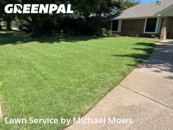 Lawn Carein Grapevine,76051,Grass Cut by Michael Mows, work completed in Jan , 2026