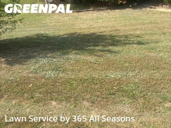 Lawn Cutting nearby Grovetown, GA, 