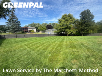 Grass Cutting nearby Wheaton, IL, 