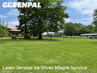 Grass Cut nearby Flint, TX, 