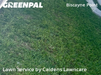 Lawn Care nearby Miami Beach, FL, 