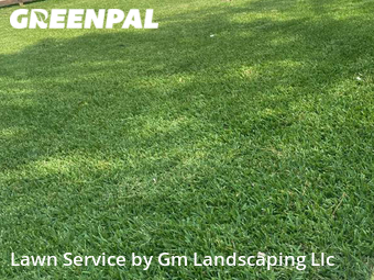 Lawn Mowing Service nearby Tomball, TX, 