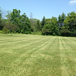 cheap-lawn-cutting-businesses-in-Elm Grove-WI