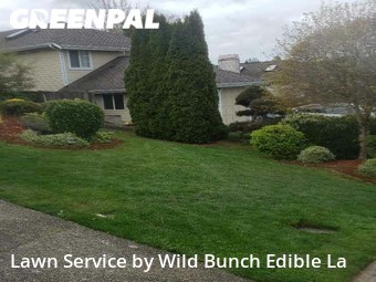 Yard Mowing nearby Renton, WA, 