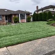 affordable-grass-cutting-businesses-in-Lynnwood-WA