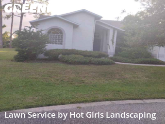 Lawn Cutting nearby Spring Hill, FL, 