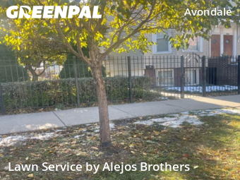 Lawn Maintenancein Chicago,60618,Grass Cutting by Alejos Brothers, work completed in Dec , 2025