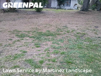 Lawn mowed in Leesburg, 34788