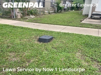 Yard Cutting nearby Houston, TX, 