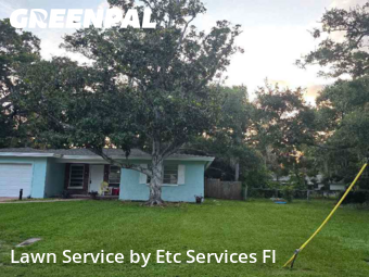Lawn Care Servicein Dunedin,34698,Lawn Care Service by Etc Services Fl, work completed in Nov , 2025
