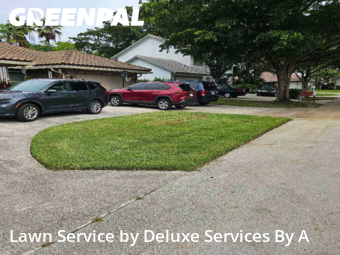 Turf Services in Coconut Creek, 33073, Yard Work by Deluxe Services By A, work completed in Nov , 2025